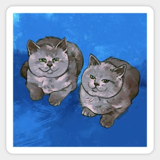 Two of Them Cats Sticker